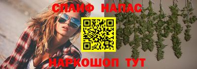 мдпв Пенза